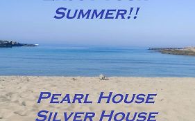 Silver House